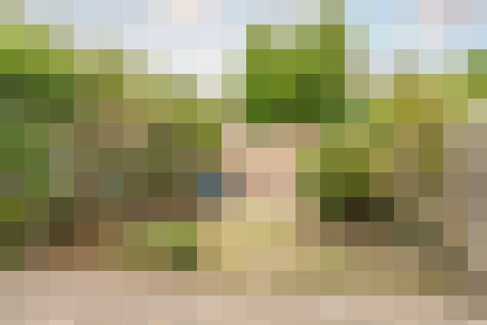 Image 30