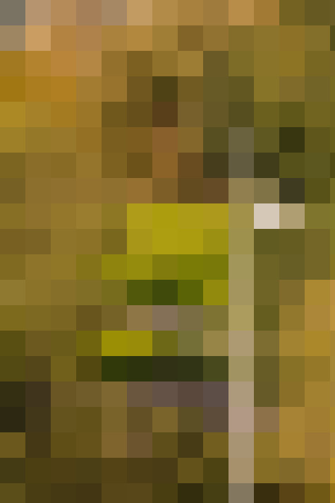 Image 26