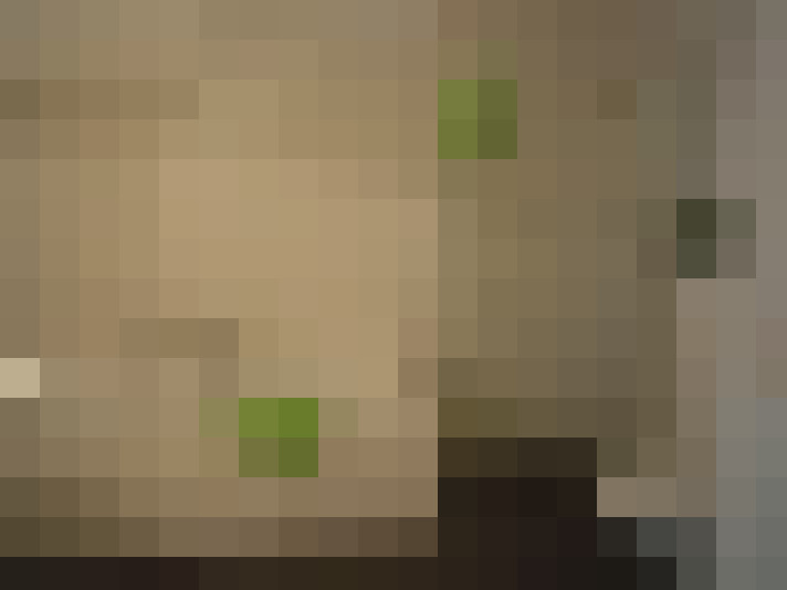 Image 13