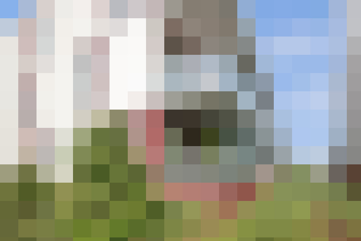 Image 13