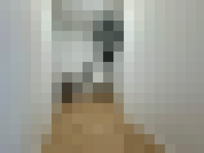 Image 20