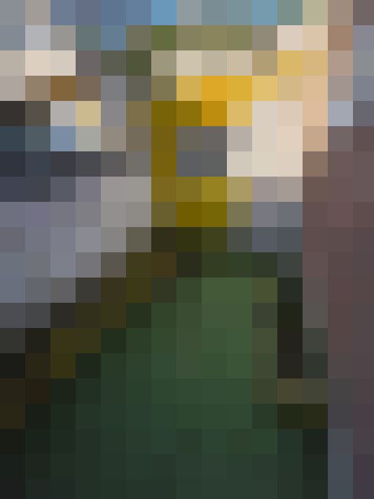 Image 19