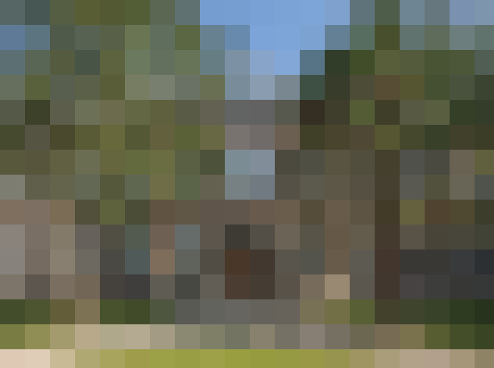 Image 13
