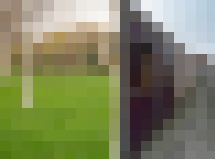Image 29