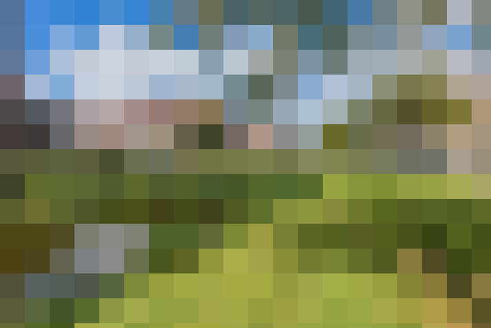 Image 27