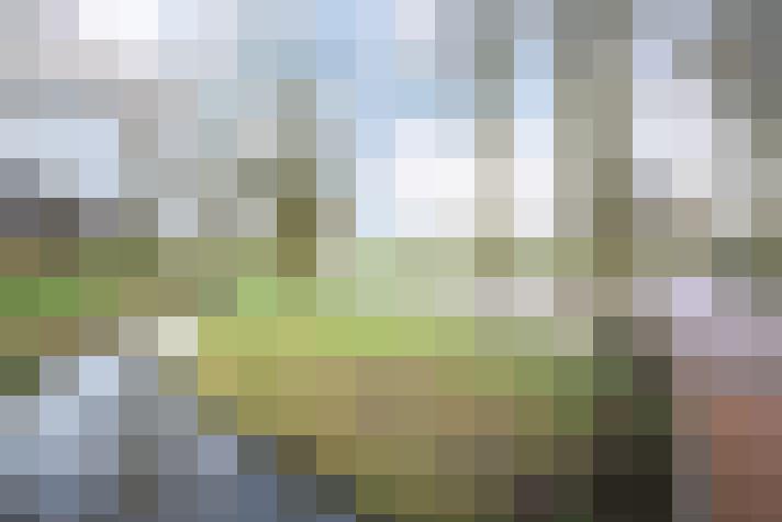 Image 25