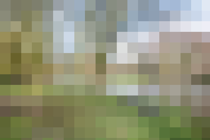 Image 24