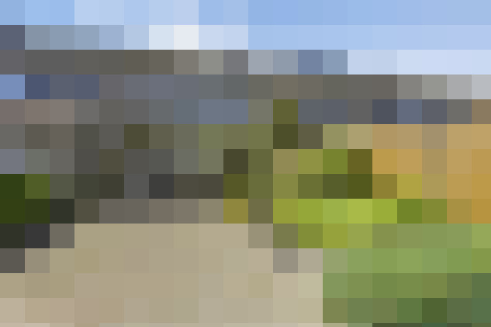 Image 28
