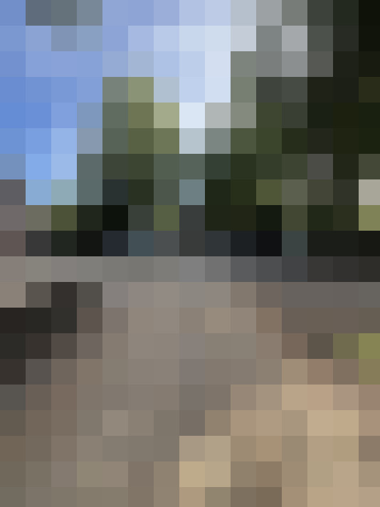 Image 33