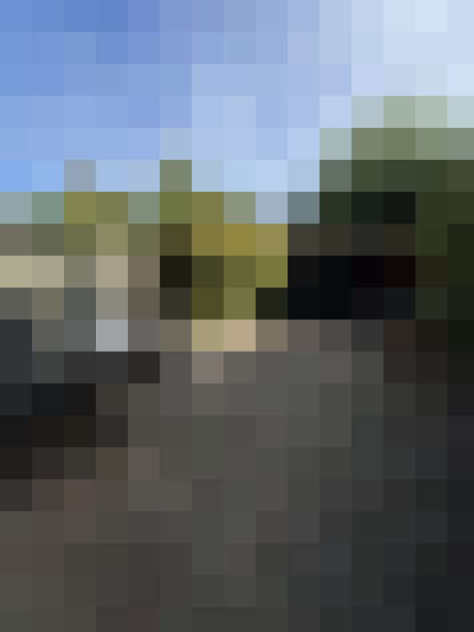 Image 29