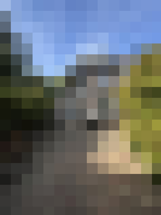 Image 31