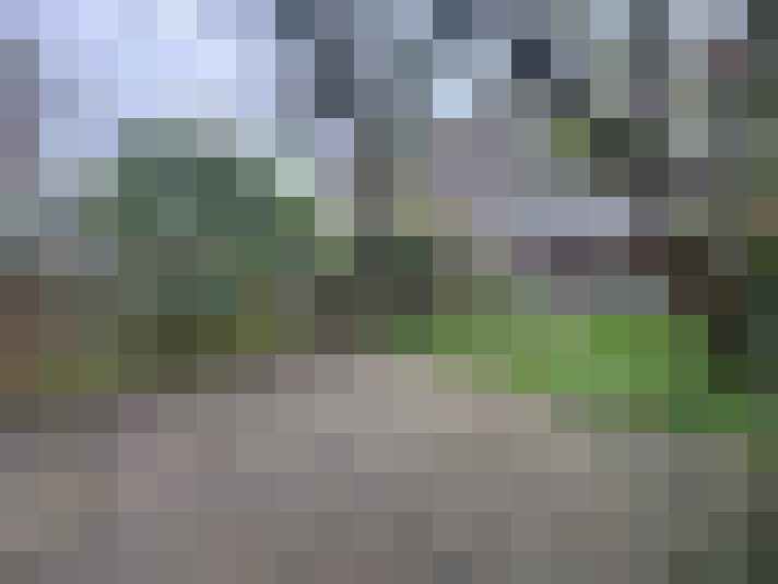 Image 20