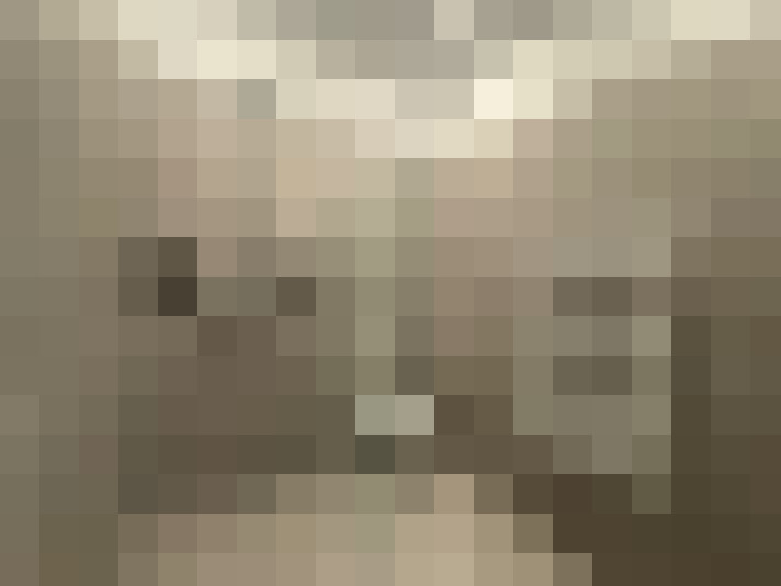 Image 14
