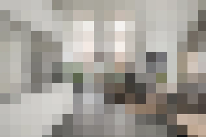 Image 21