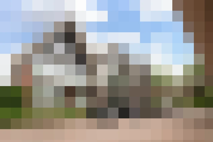 Image 53