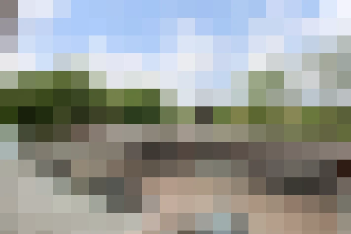 Image 45