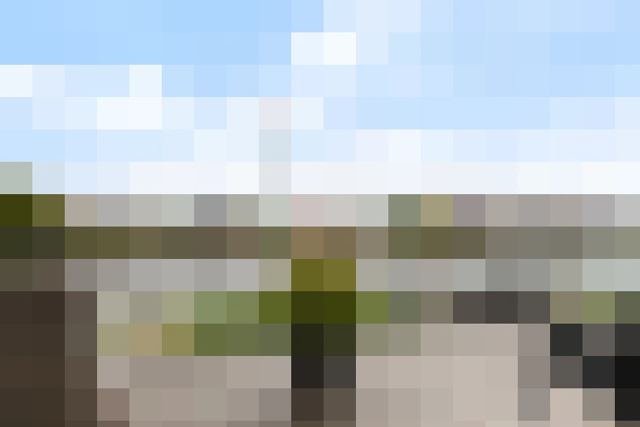 Image 29