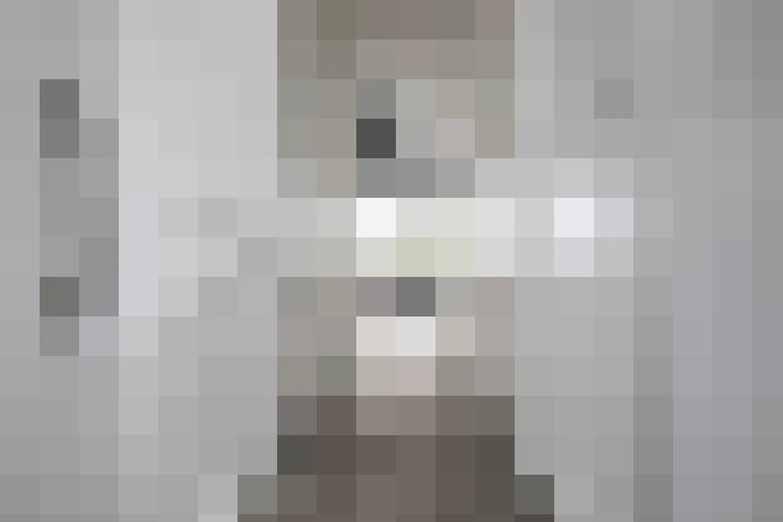 Image 46