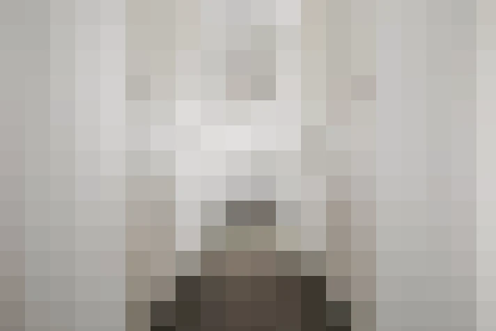 Image 51