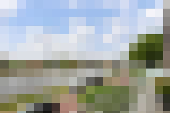 Image 32