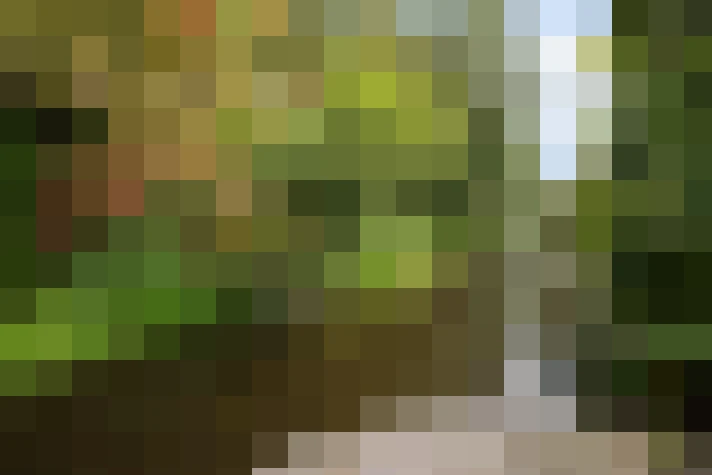 Image 42