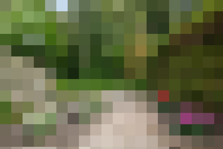 Image 39