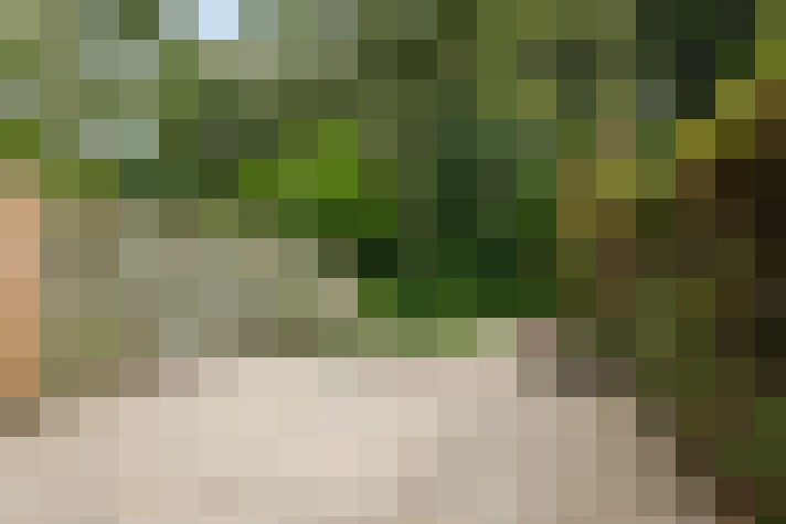 Image 38