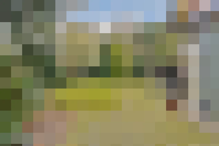 Image 14