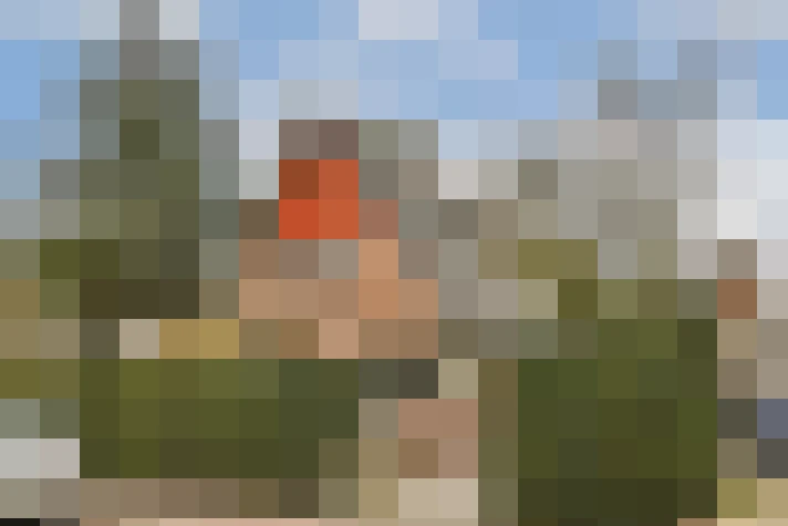 Image 28