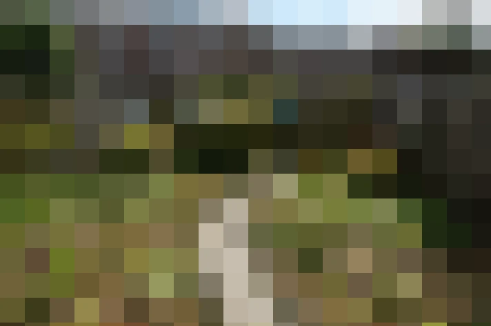 Image 15