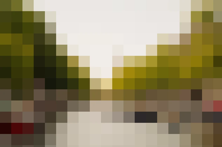 Image 25