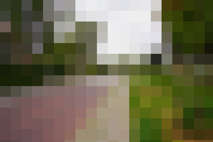 Image 26