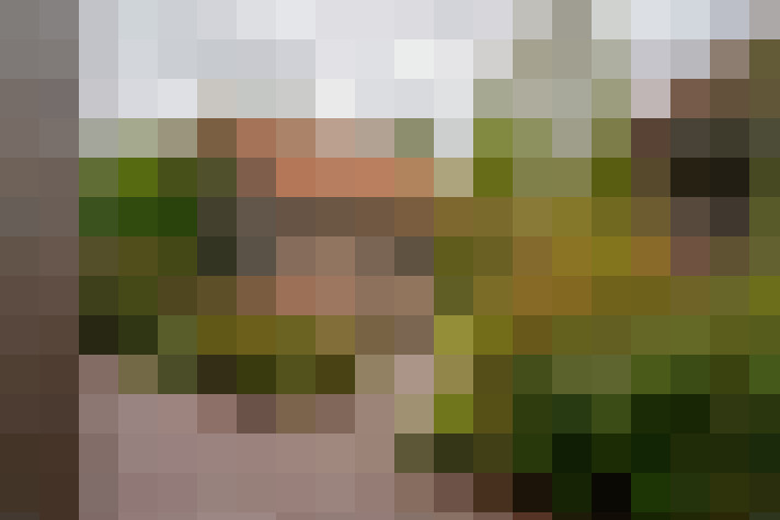Image 23