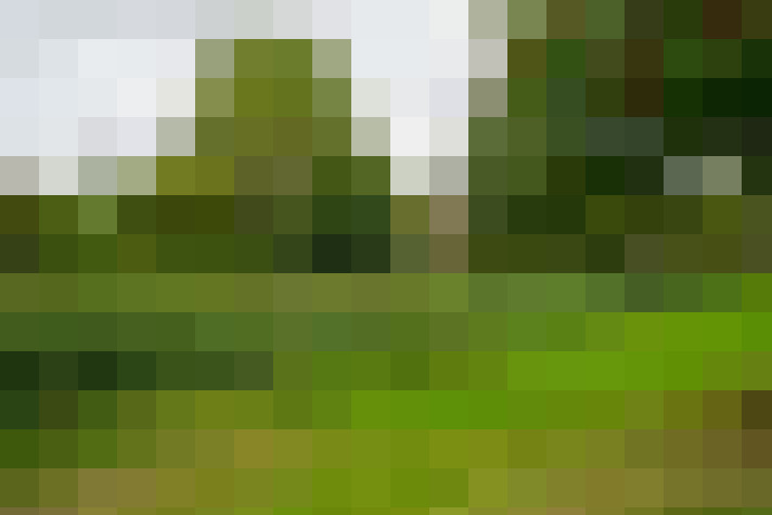 Image 25