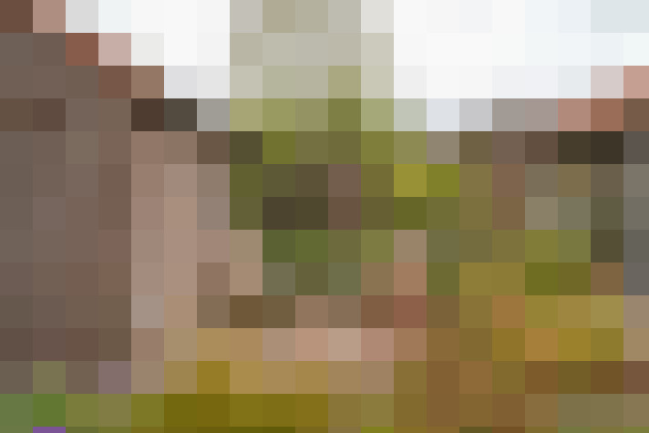 Image 20