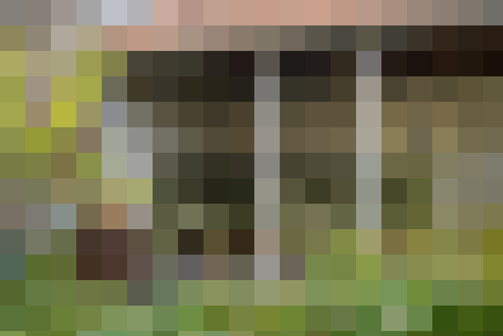Image 22