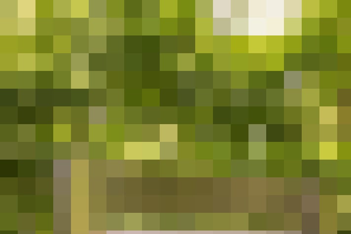 Image 32
