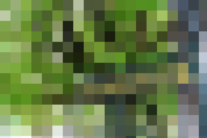 Image 39