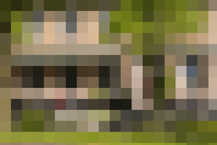 Image 31