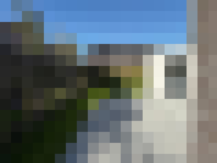Image 20