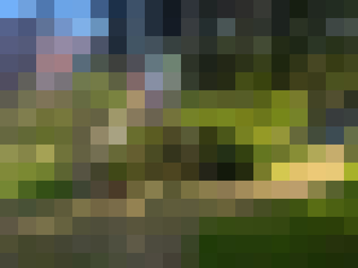 Image 31