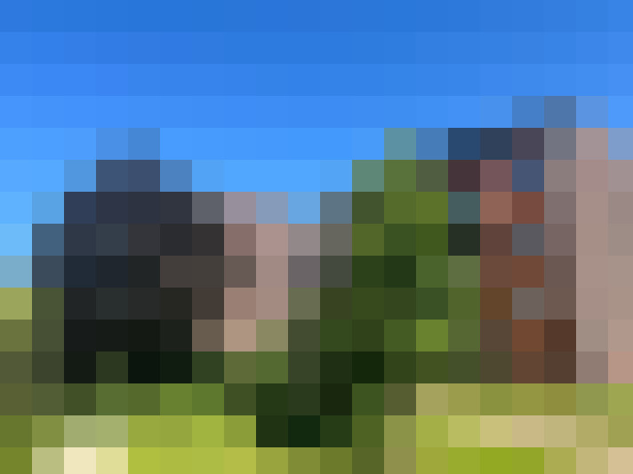 Image 32