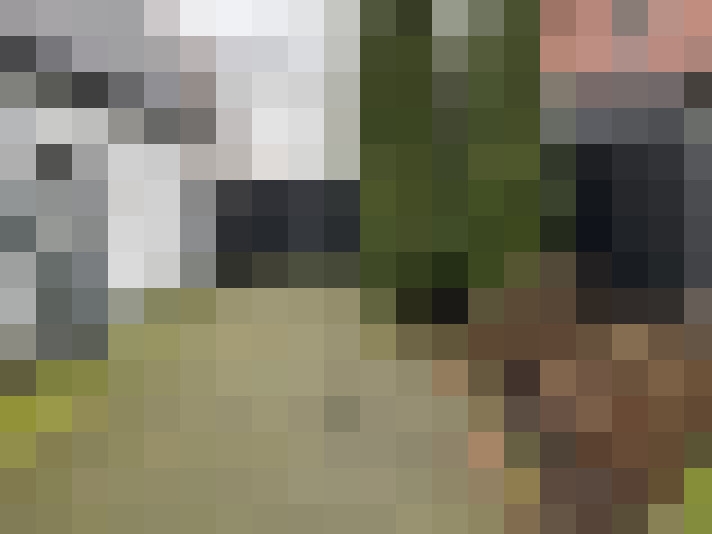 Image 30