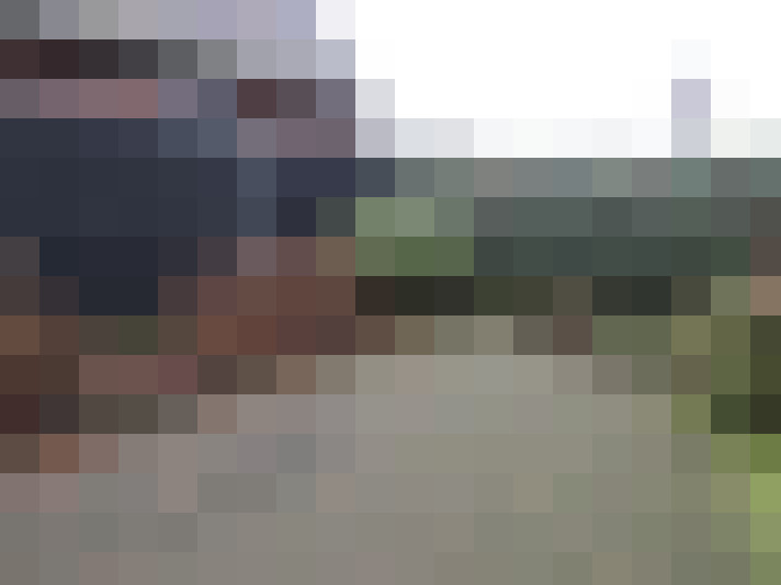 Image 31