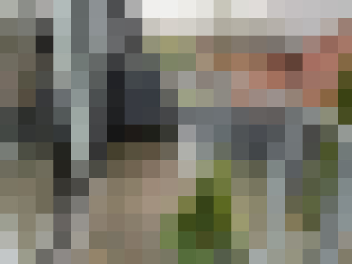 Image 27