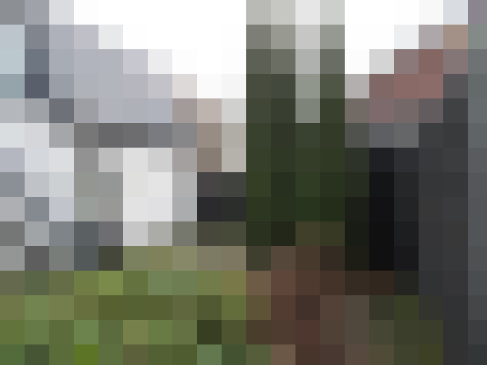 Image 29