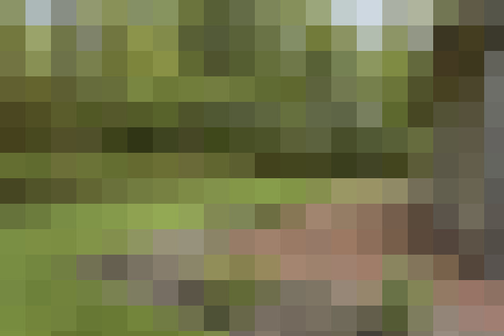 Image 20