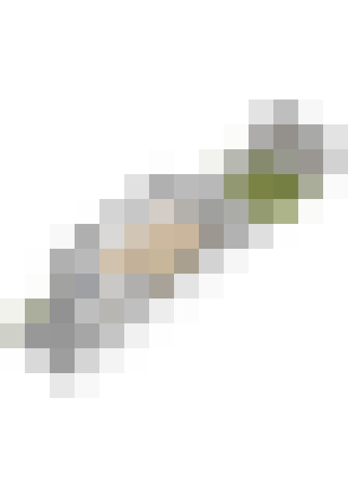 Image 39