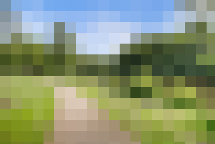 Image 16