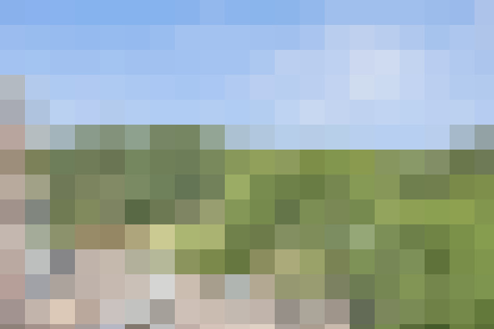 Image 17